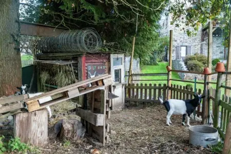 Au Télégraphe, maison 4 pers avec sauna infrarouge : photo 27
