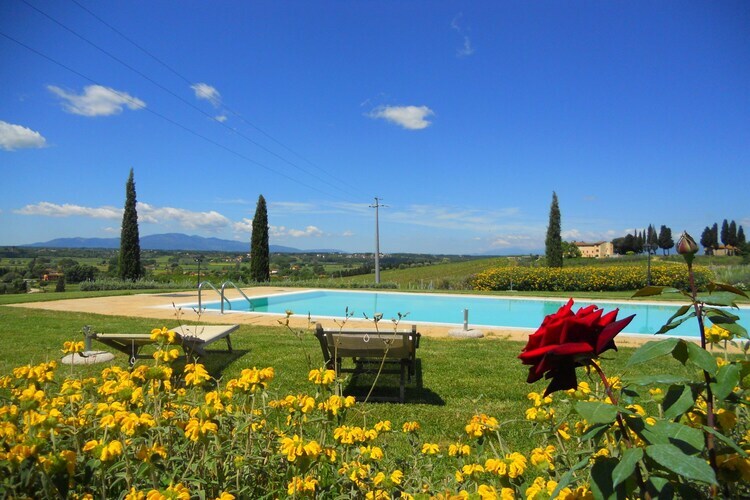Primula – Maison 4 pers. en ferme toscane avec piscine - Photo 18