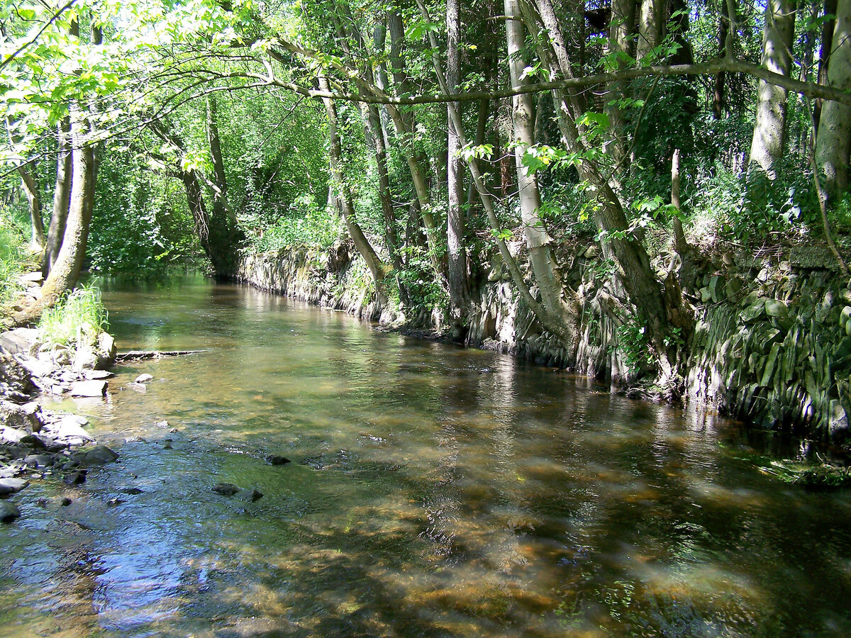 Gîte rustique 9 pers. à 50 m de la rivière - Photo 14