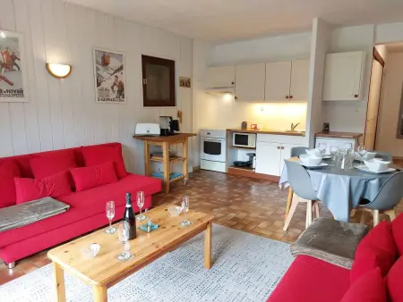 Les G'rets – Apt 2 pièces vue panoramique montagnes - Photo 6