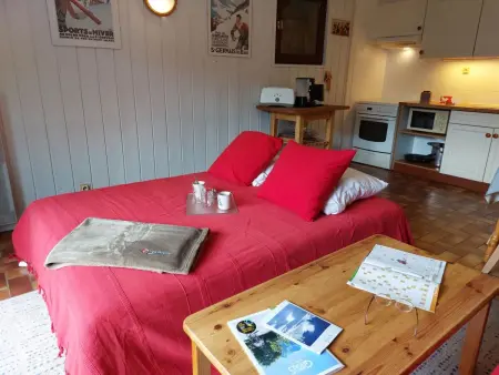 Les G'rets – Apt 2 pièces vue panoramique montagnes - Photo 10