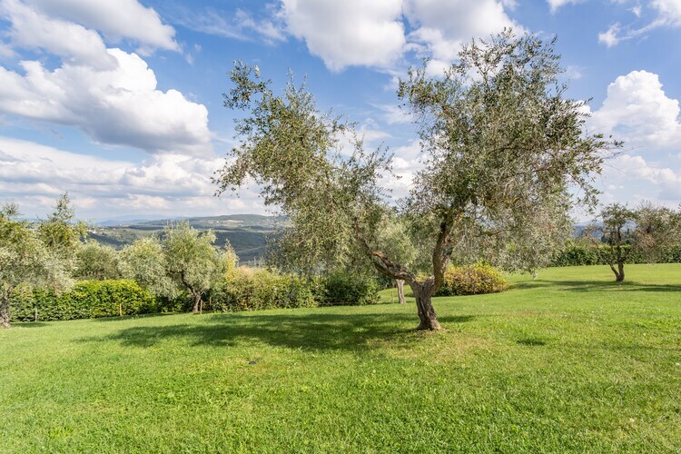 Il Querceto Prima – Gîte toscan 4 pers. avec piscine - Photo 26