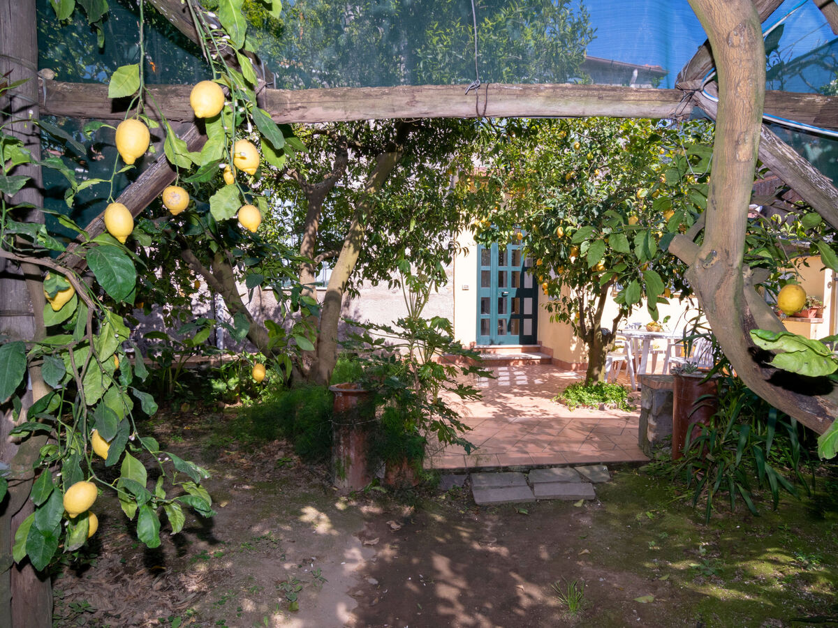 Il Montano, appartement 2p à Sorrento avec jardin - Photo 1