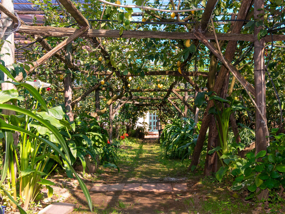 Il Montano, appartement 2p à Sorrento avec jardin - Photo 19