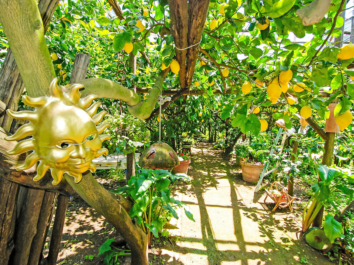 Il Montano, appartement 2p à Sorrento avec jardin - Photo 21