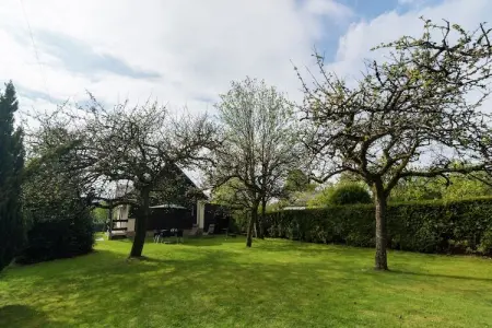 Gîte Alouette à Chiny, terrasse couverte et jardin : photo 19
