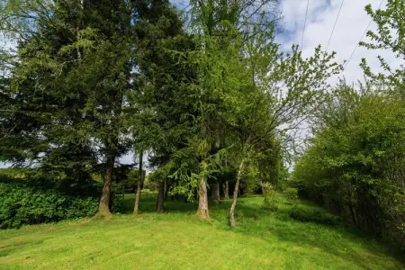 Gîte Alouette à Chiny, terrasse couverte et jardin : photo 20
