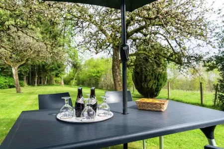 Gîte Alouette à Chiny, terrasse couverte et jardin : photo 39
