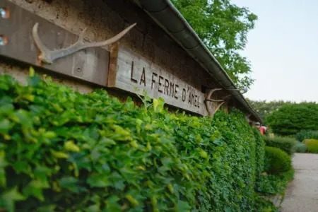 La Ferme d'Amel version 30 personnes, Gîte Moderscheid avec spa - Photo 34