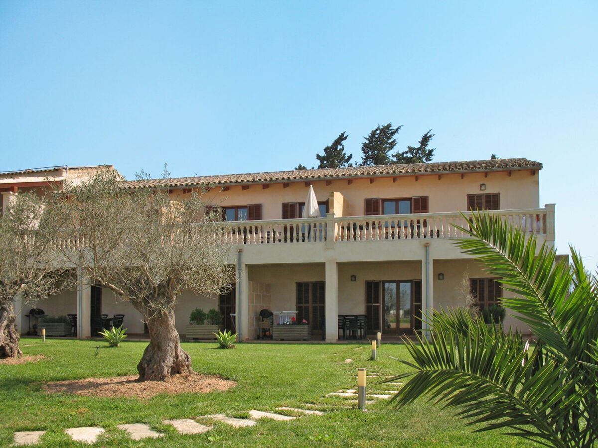 Finca Can Corritx - Apt 2p à Muro, terrasse & piscine - Photo 24