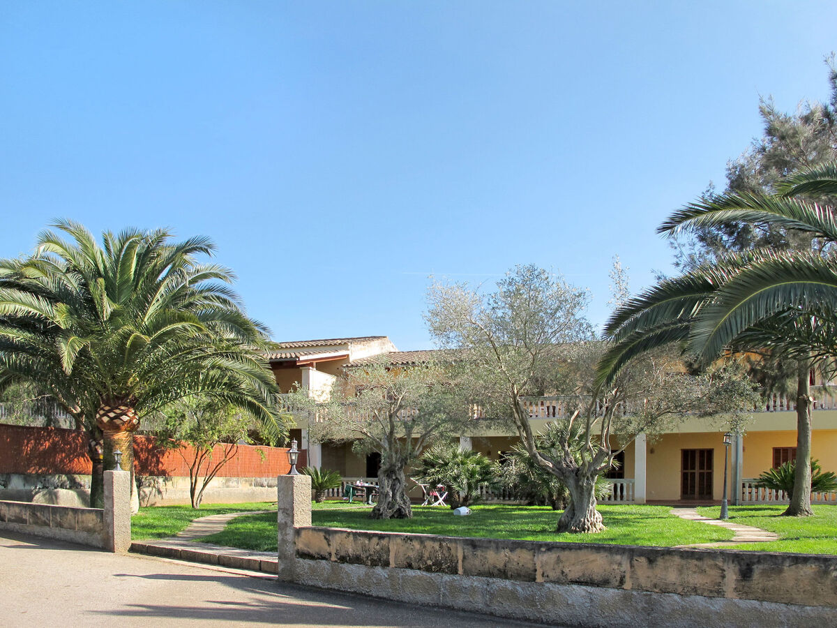 Finca Can Corritx - Appartement 75m² à Muro - Photo 31