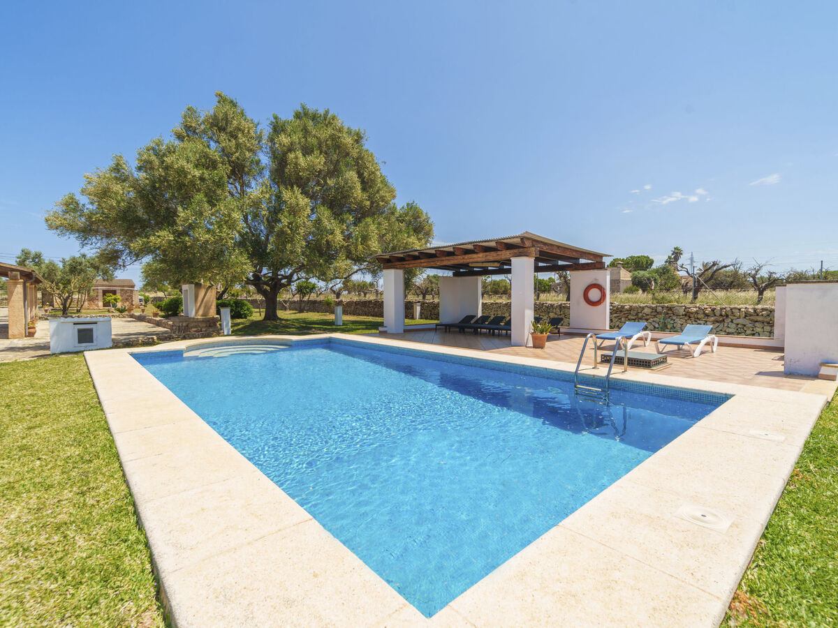 Son Ulari Gran – Maison 8 pers. avec piscine - Photo 29