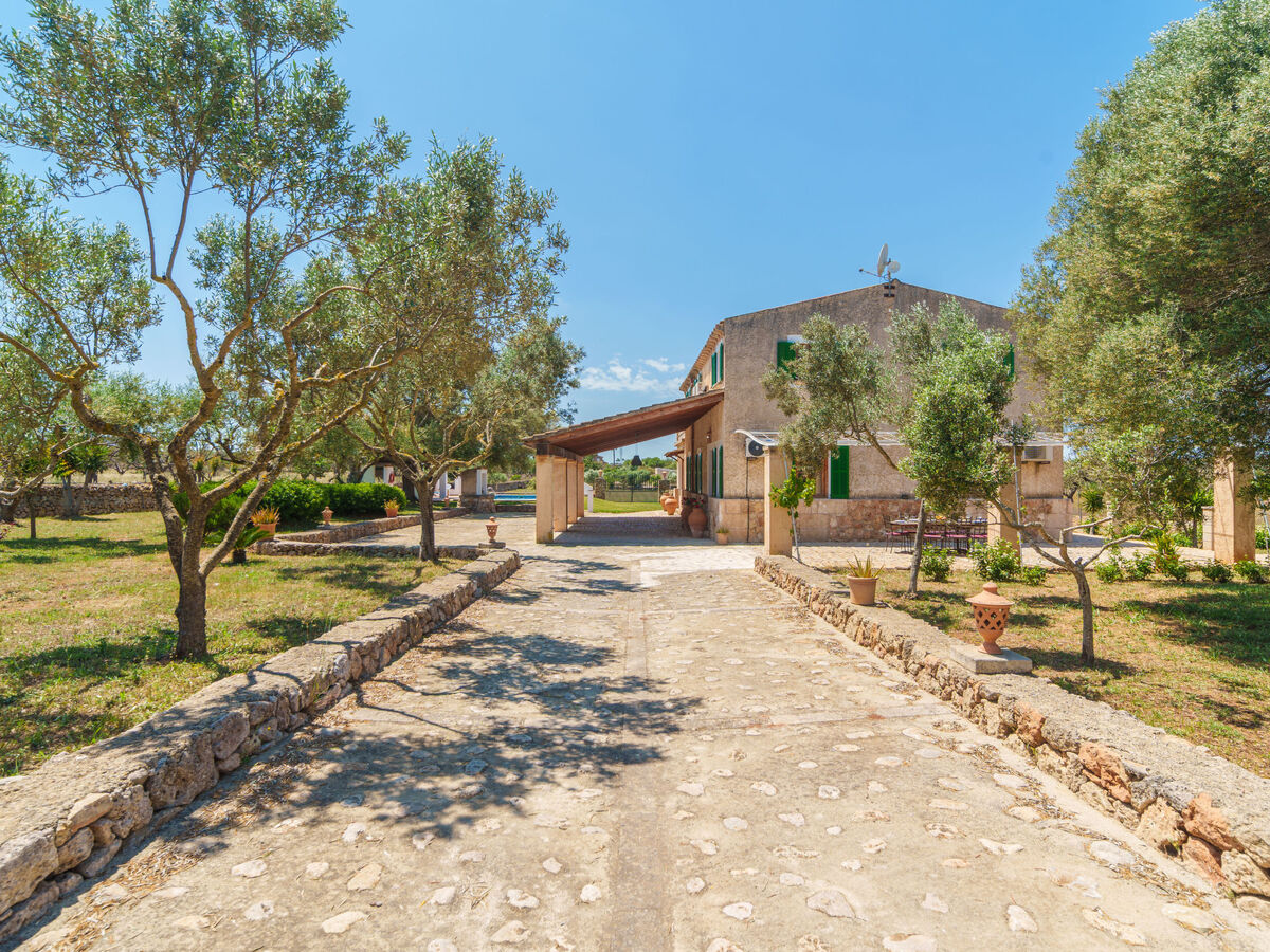 Son Ulari Gran – Maison 8 pers. avec piscine - Photo 31