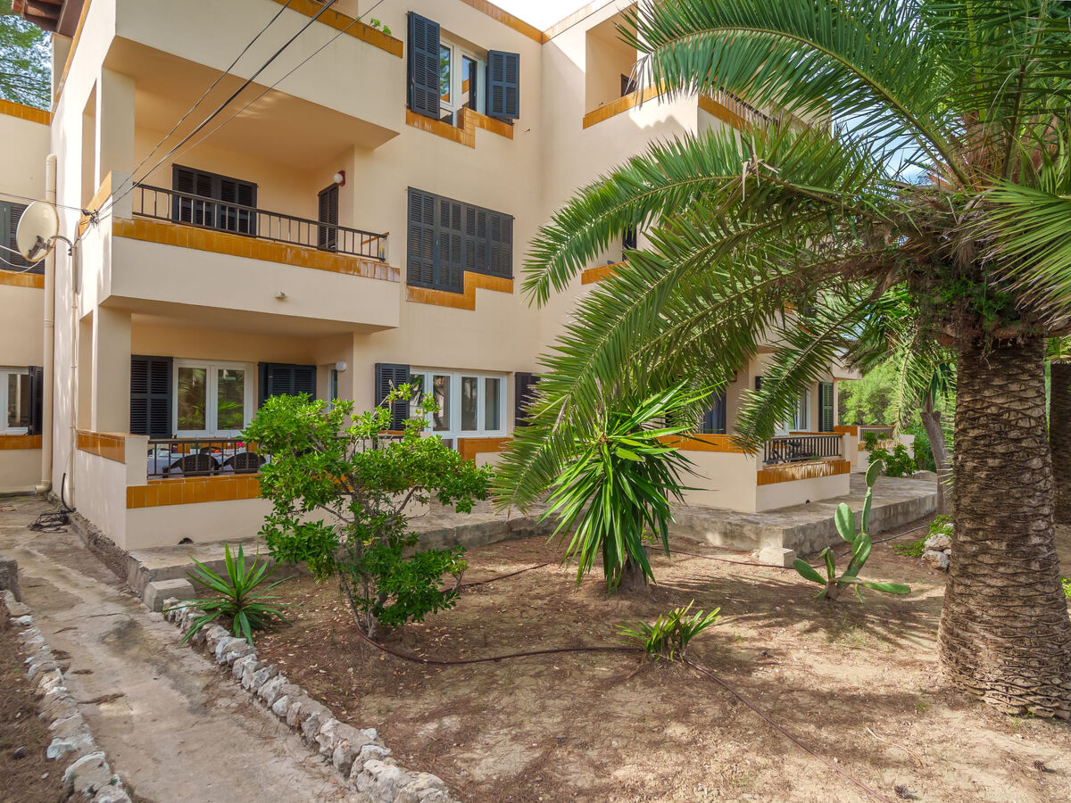 Los Pinos – Appartement 55 m² rénové à Cala Murada - Photo 16