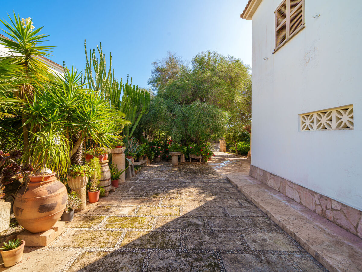 Can Damia, maison 3 chambres à Cala Murada - Photo 21