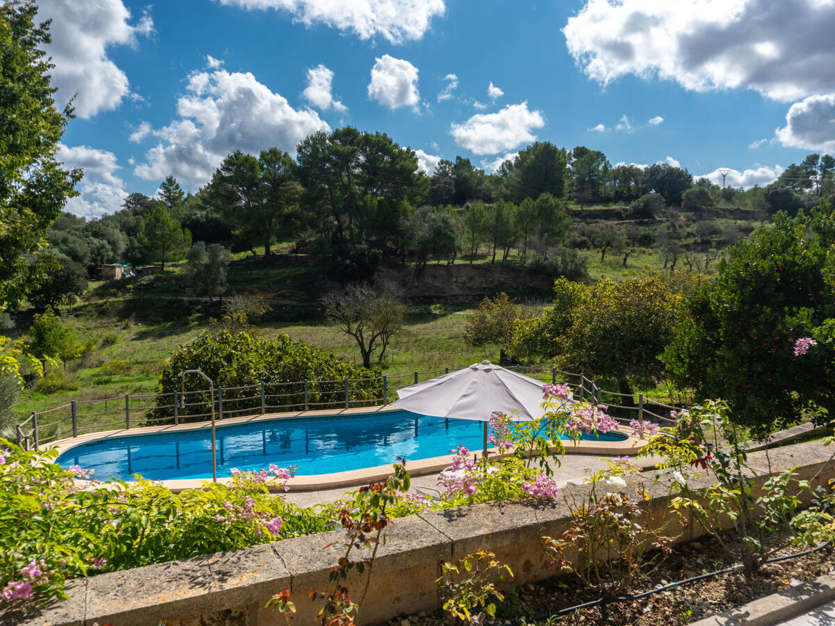 Son Femenia – Maison 8 pers. avec piscine à Can Picafort - Photo 36