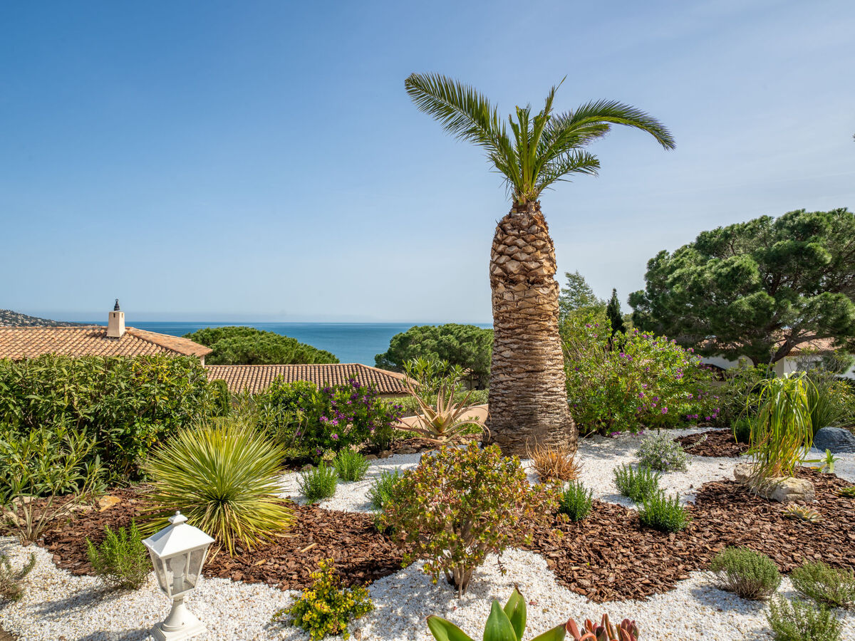 Villa Cacharel à Sainte Maxime, 8 pers., piscine - Photo 59
