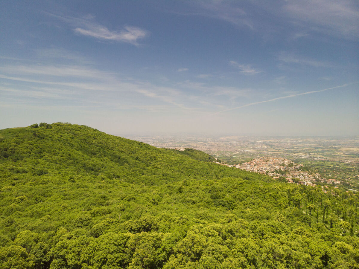 Villa Cicci – 7 chambres, piscine et vue panoramique - Photo 41