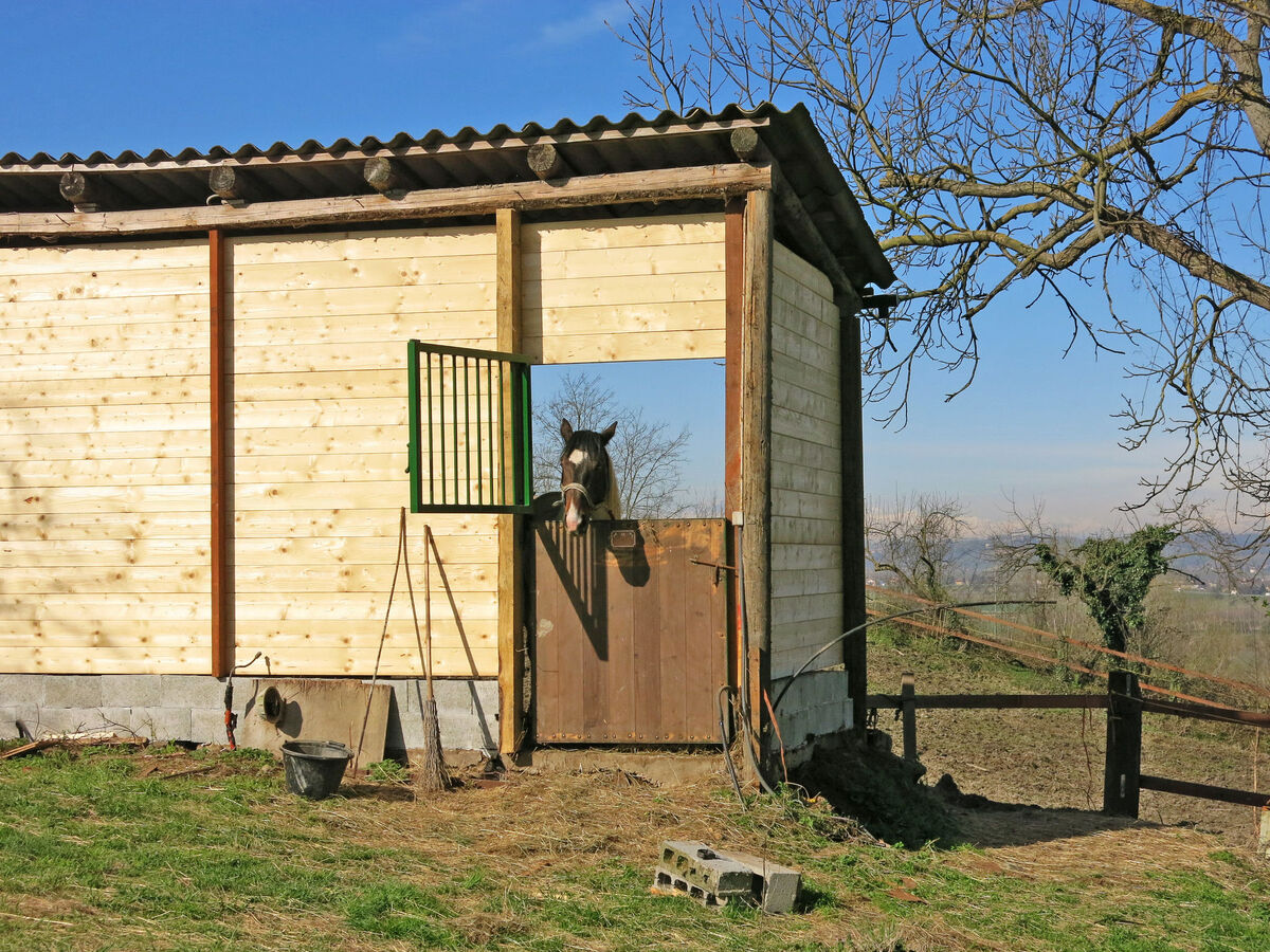 Gîte Elena à Asti, 3 chambres avec terrasse et piscine - Photo 32