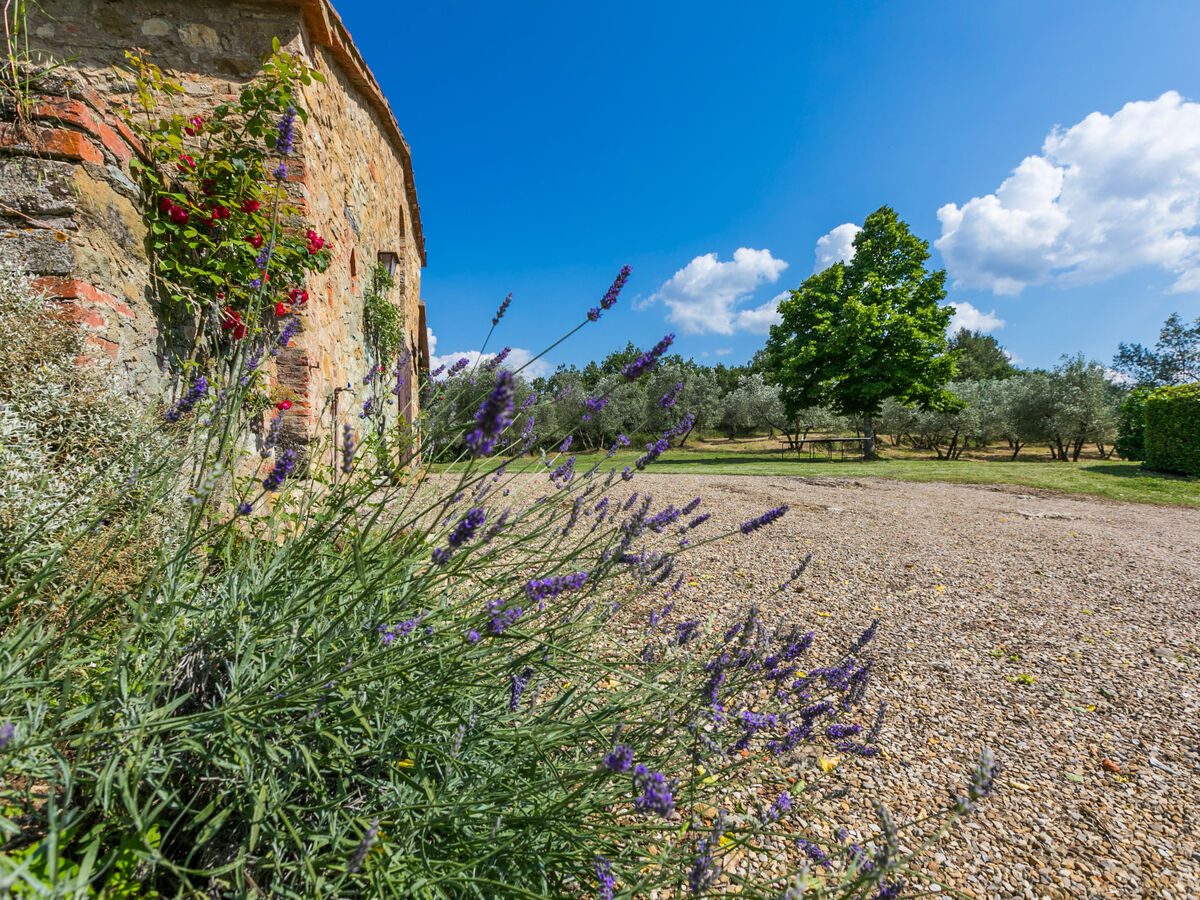 Il Laghetto, maison 8 personnes avec piscine - Photo 88