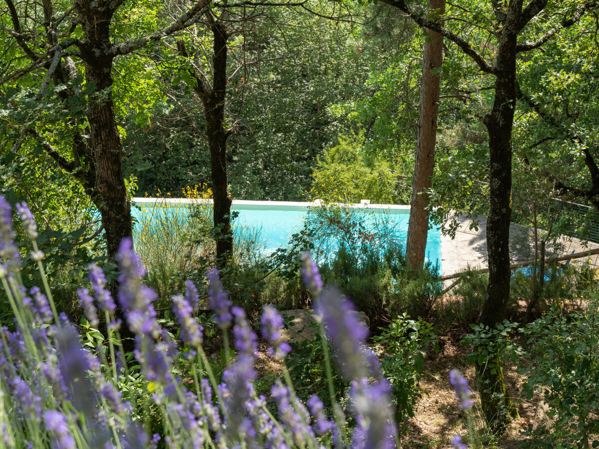 Villa San Leolino, 10 chambres avec piscine à Rufina - Photo 32