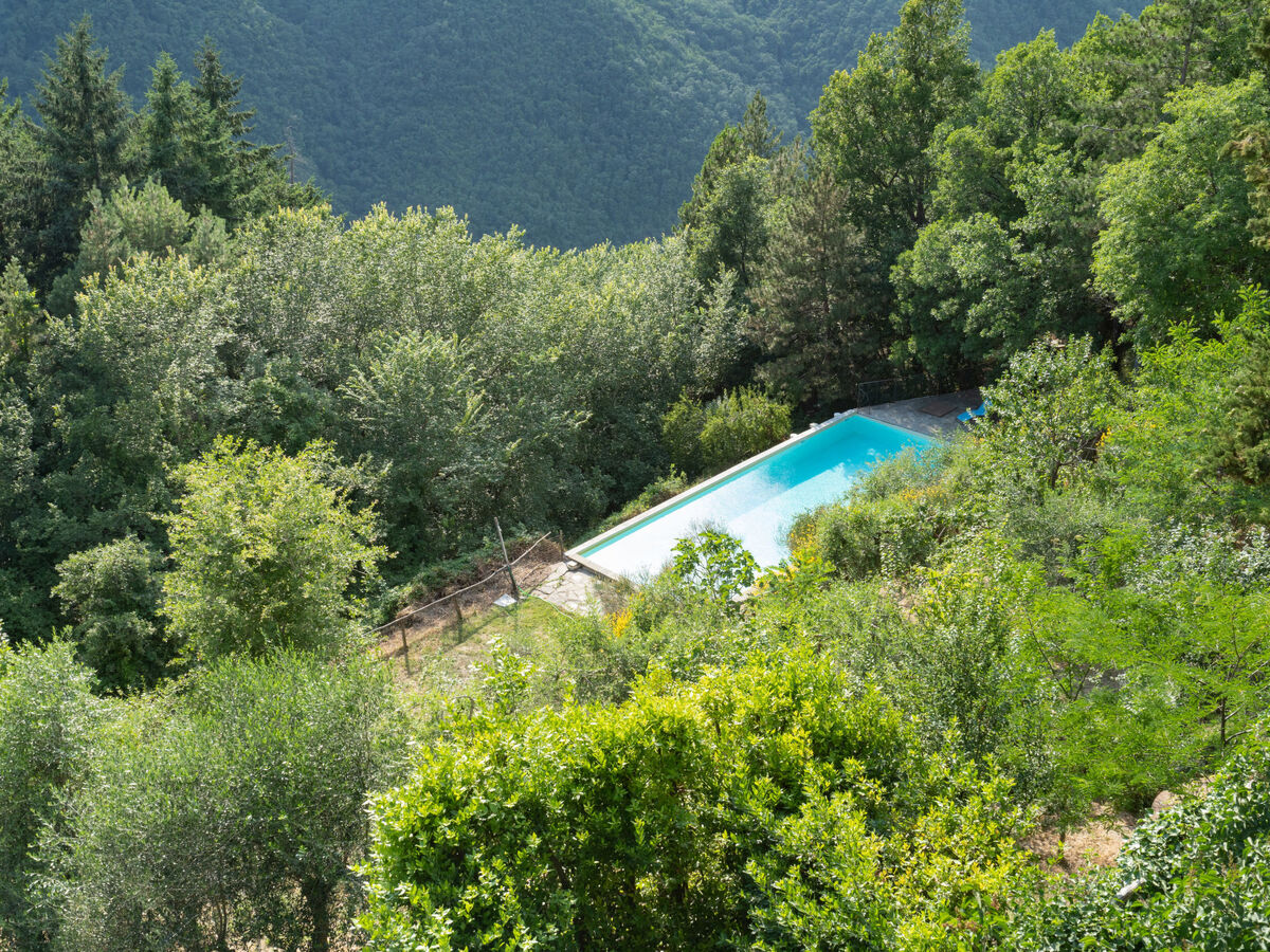 Villa San Leolino, 10 chambres avec piscine à Rufina - Photo 33