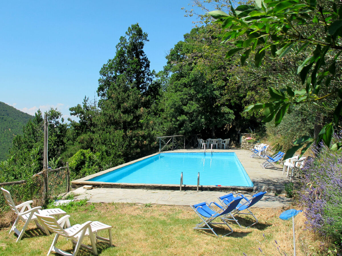 Villa San Leolino, 10 chambres avec piscine à Rufina - Photo 34