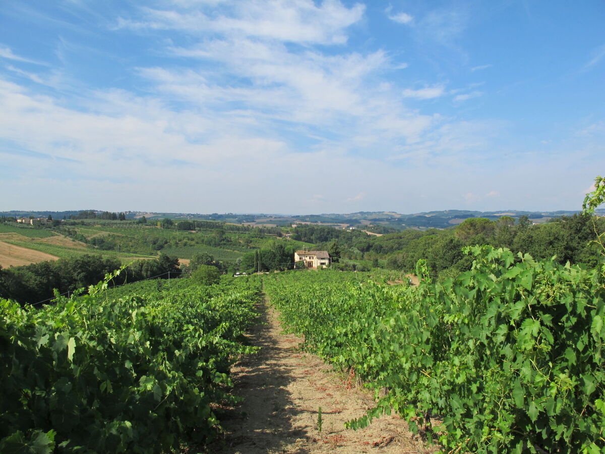 Villa Magna – Maison toscane sur domaine viticole près de Florence - Photo 36