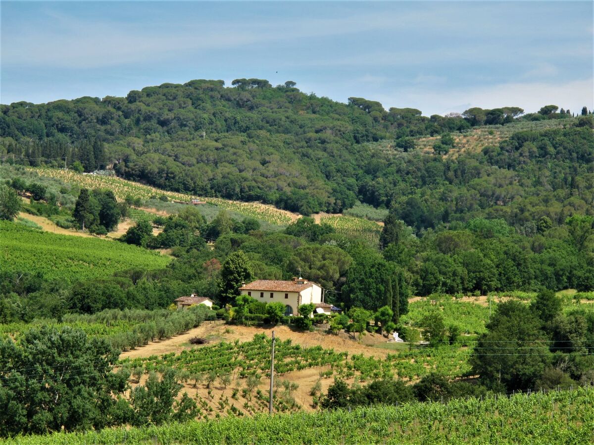Villa Magna – Maison toscane sur domaine viticole près de Florence - Photo 44