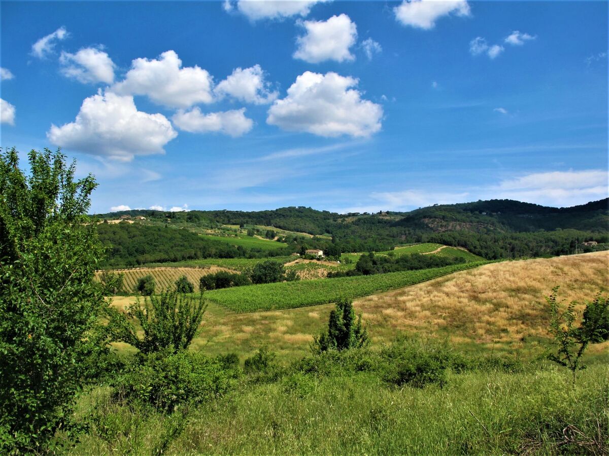 Villa Magna – Maison toscane sur domaine viticole près de Florence - Photo 46