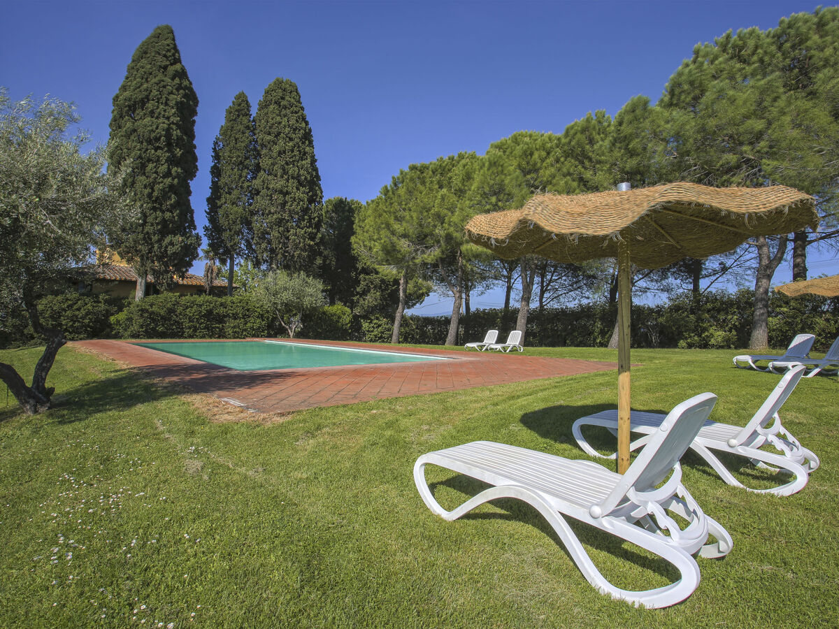 Camiglia - Appartement 85m² vignobles Tavarnelle - Photo 19