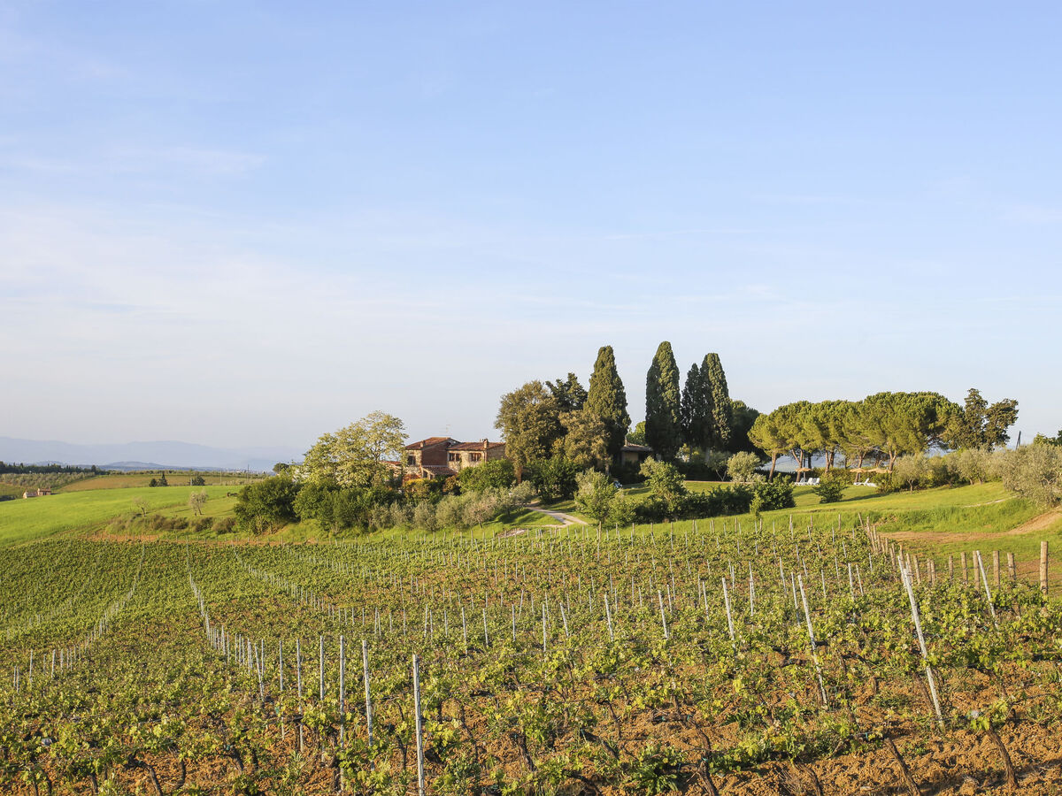 Campiglia, maison 4 chambres domaine viticole Toscane - Photo 37