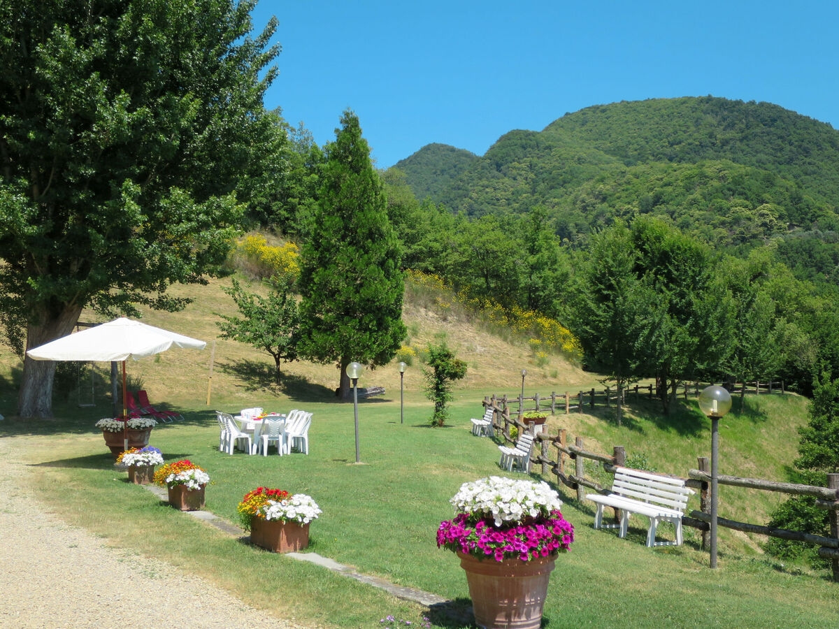Podere Le Ripe – Maison 10 pers. avec piscine à Vicchio - Photo 40