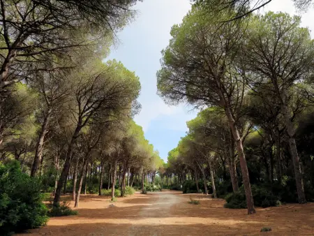 Appartement 3 pièces avec terrasse et vue mer à Monte Argentario - Photo 48