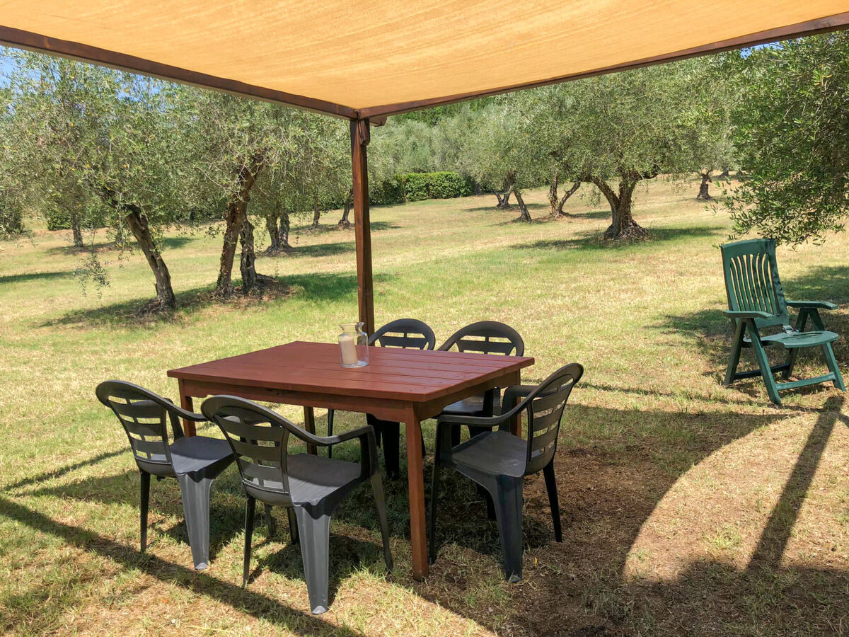 Loggetta - Gîte rustique 5 pers. à Roccastrada - Photo 23
