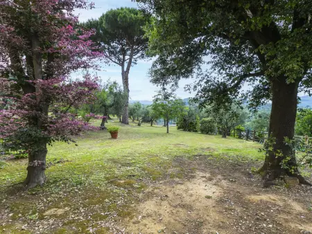 San Lazzaro, Gite 6 personnes à Monsummano Terme - Photo 39