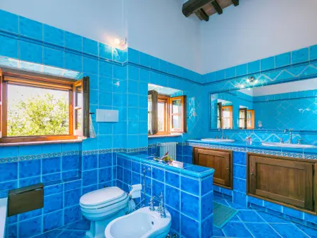 Maison Il Fienile à Casole d'Elsa, vignobles et piscine : photo 29