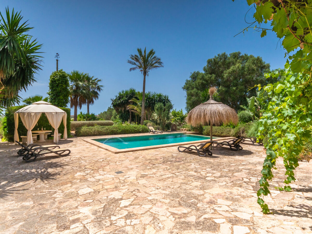 Moli de Son Vidal – Maison 8 pers. avec piscine - Photo 28