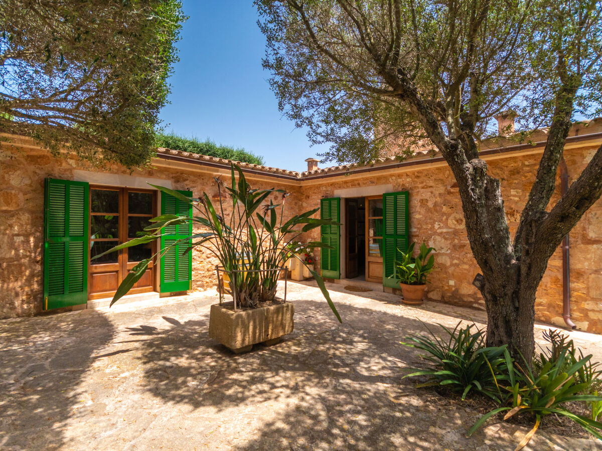 Moli de Son Vidal – Maison 8 pers. avec piscine - Photo 35