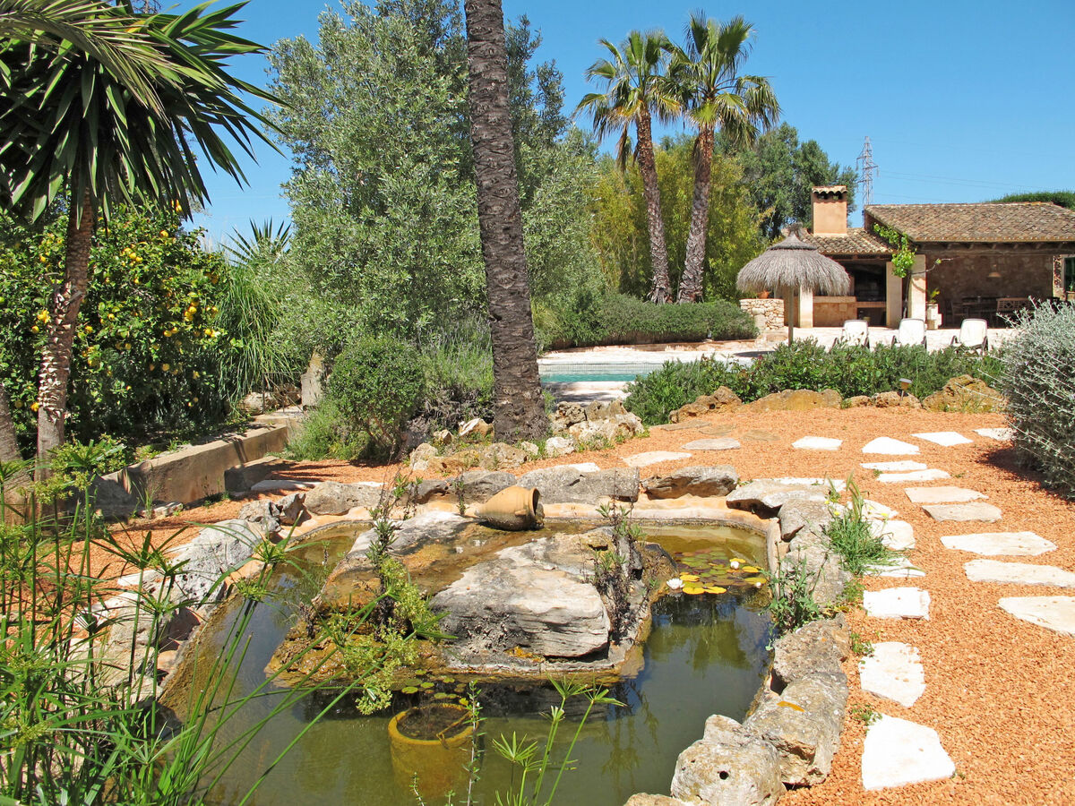 Moli de Son Vidal – Maison 8 pers. avec piscine - Photo 50