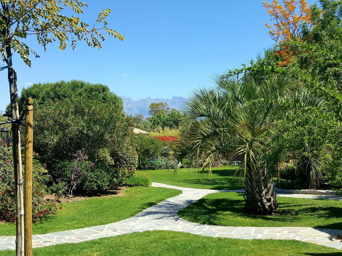 T2 Calvi 30m² avec piscine et accès plage - Photo 2