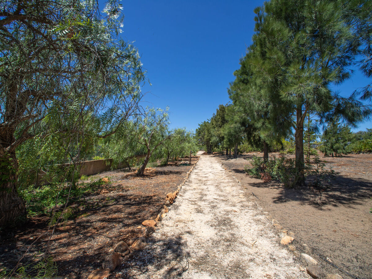 Quinta do Mosaico – Maison avec piscine près de Lagos - Photo 26