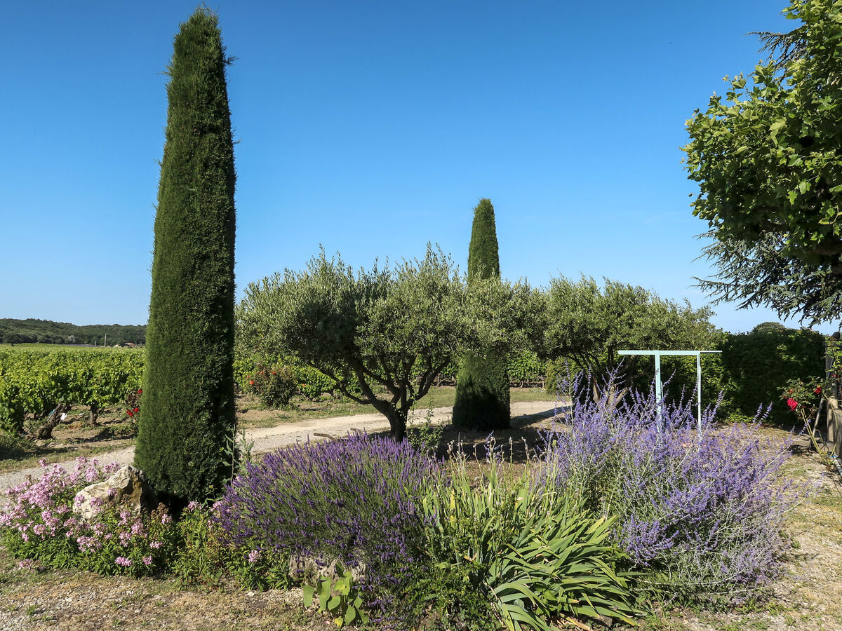 Le Mas - Maison 3 chambres à Grignan - Photo 5