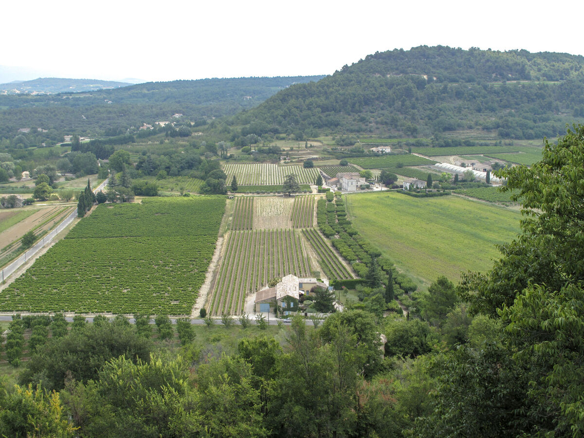 Les Vignes – Maison 2 chambres avec terrasse - Photo 21