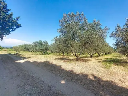 Mas du Combaud, Maison 5 personnes à Roquebrune sur Argens - Photo 43