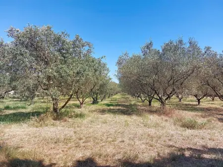 Mas du Combaud, Maison 5 personnes à Roquebrune sur Argens - Photo 45