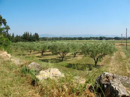 Mas du Combaud, Maison 5 personnes à Roquebrune sur Argens - Photo 46