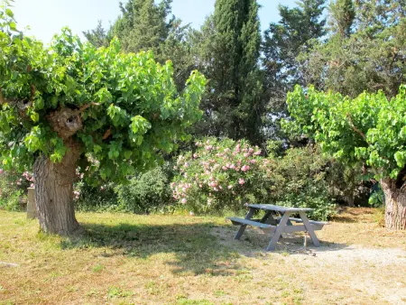 Mas du Combaud, Maison 5 personnes à Roquebrune sur Argens - Photo 47