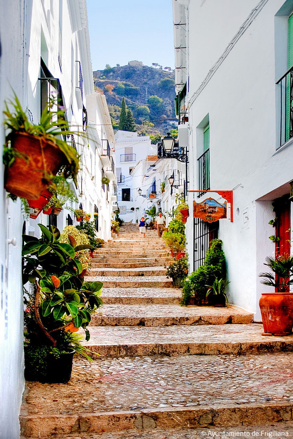 Tres Palmeras – Maison 2 chambres vue mer à Frigiliana - Photo 33