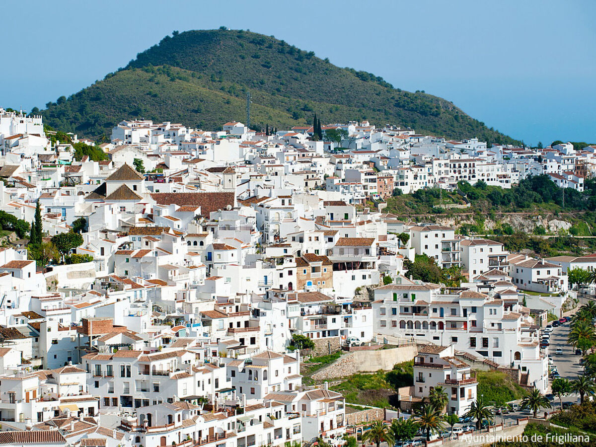 Tres Palmeras – Maison 2 chambres vue mer à Frigiliana - Photo 34